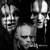 Brutus