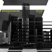 Night In Detroit (feat. Fedde Le Grand)