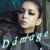 Damage cover