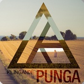 Punga