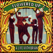 A Life With Brian