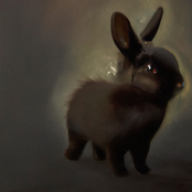 Mietze Conte – bunnybunnybunny