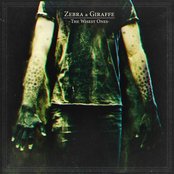 My Best by Zebra & Giraffe