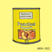 Peaches