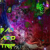 Bad Acid Trip