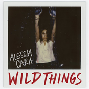 Wild Things cover