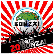 Dave Davis – 20 Years Bonzai