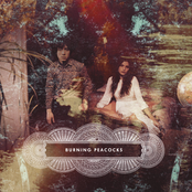 Burning Peacocks - EP