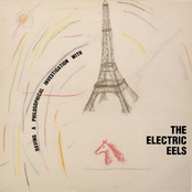 Having a Philosophical Investigation With The Electric Eels