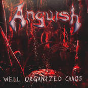 Well Organized Chaos