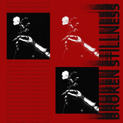Broken Stillness