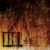 Blood Is An Open Cage
