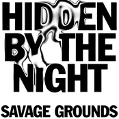 Hidden By The Night