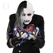Album art for Eat the Elephant by A Perfect Circle