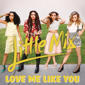 Love Me Like You cover