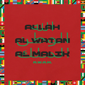 A.W.A.M.