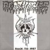 Back To 1987