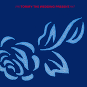 The Wedding Present – Tommy