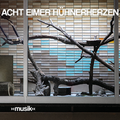 Acht Eimer Hühnerherzen – "musik"