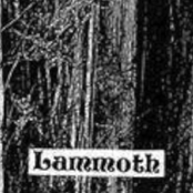 Lammoth