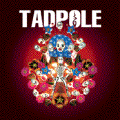Tadpole