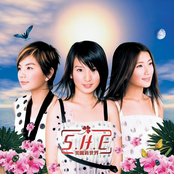 美丽新世界 cover