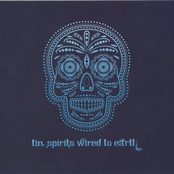 Wired To Earth