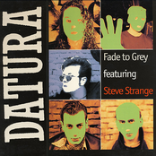 Fade To Grey