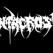 Agony Of Souls