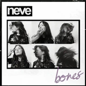 Bones