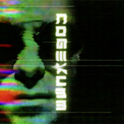 C33
