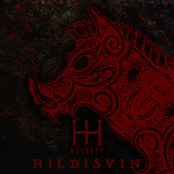 Hildisvin