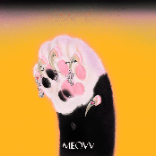 MEOW