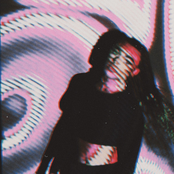 wilt – nothing special