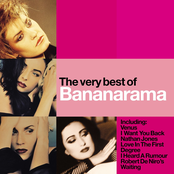 The Very Best of Bananarama cover