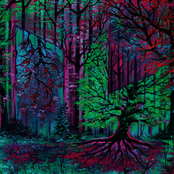 Dreamscape