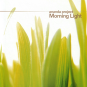 Morning Light