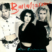 True Confessions cover