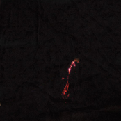 The Fire Which Illuminates Naught
