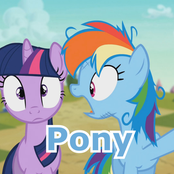 Pony Pony Pony Pony