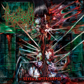 Sexual Intercorpse