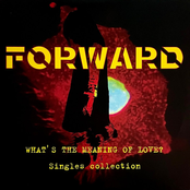 What's The Meaning Of Love? Singles Collection