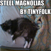 Steel Magnolias