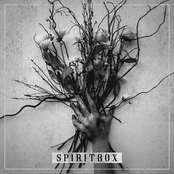 Spiritbox cover