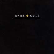 Rare Cult