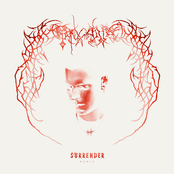 Surrender Remix