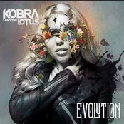 Evolution cover