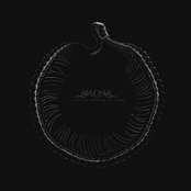 Sylosis – A Sign of Things to Come