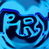 pry