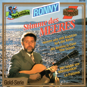 Stimme des Meeres